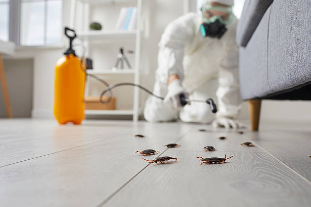 Post-Treatment Bed Bug Interceptor Monitoring in Caldwell