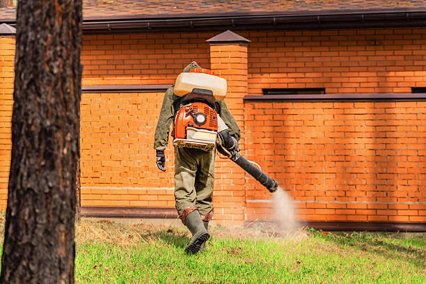 Bed Bug Clearance Verification and Documentation in Caldwell